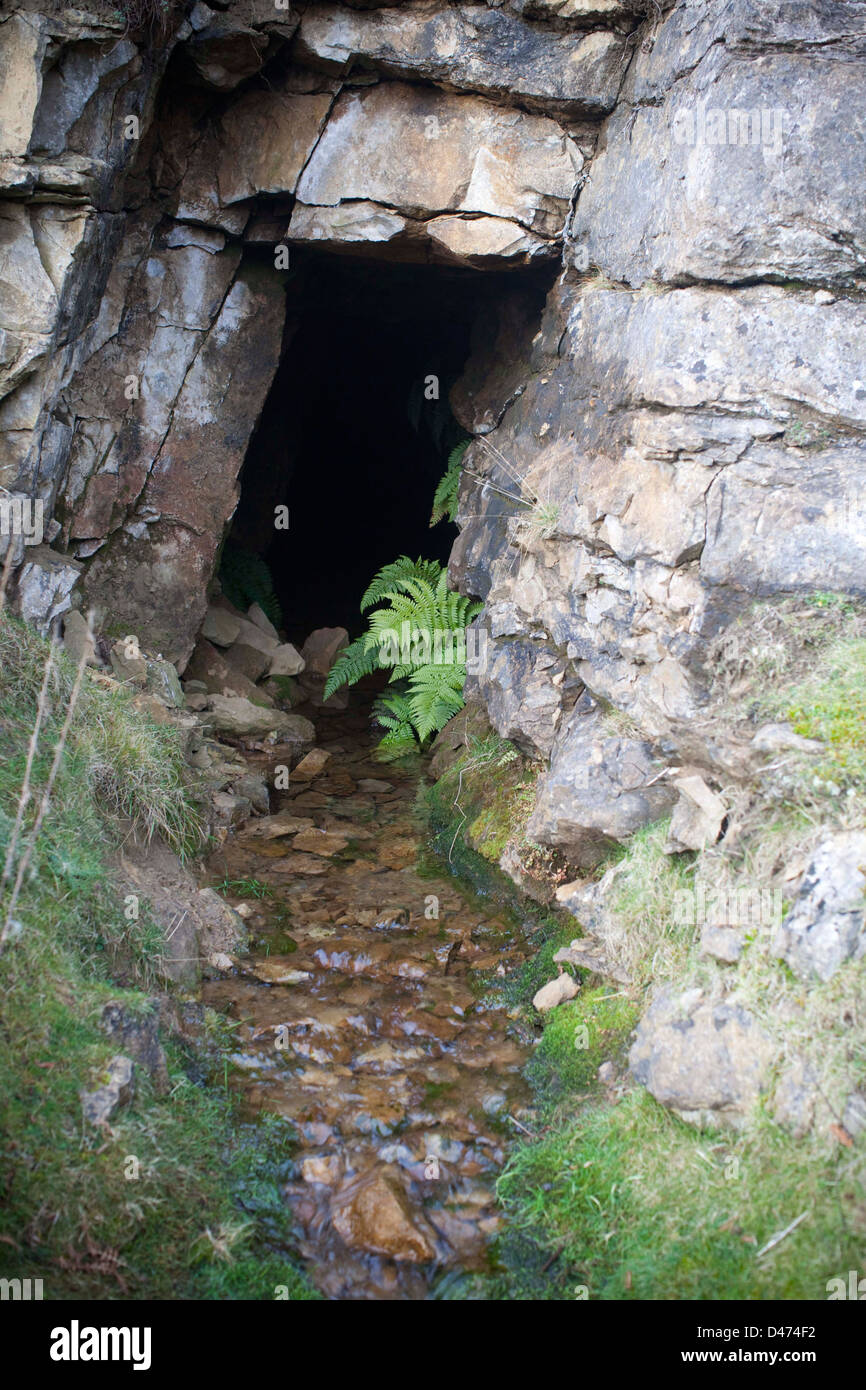 Secret cave entrance hires stock photography and images Alamy