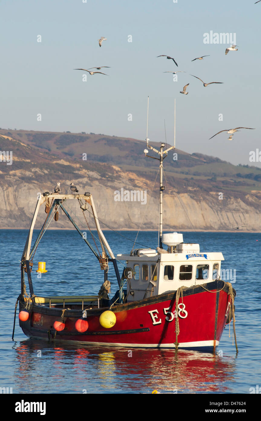 Lyme Bay is a famous local fishing port and holiday destination. Lyme Regis, Dorset Stock Photo