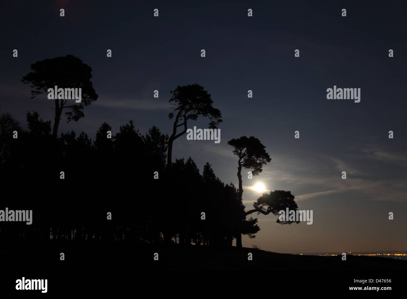Moonlight through trees on Folly Hill, Faringdon Stock Photo