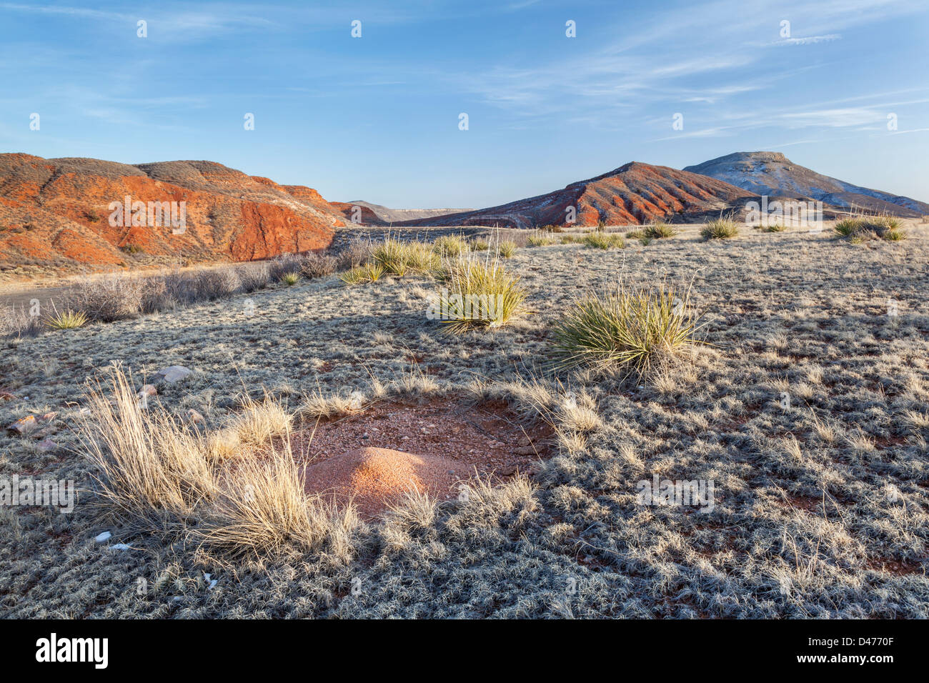 ant nest sand cone in high prairie surrounded by redstone mountains - Red Mountain Open Space near Fort Collins, Colorado Stock Photo