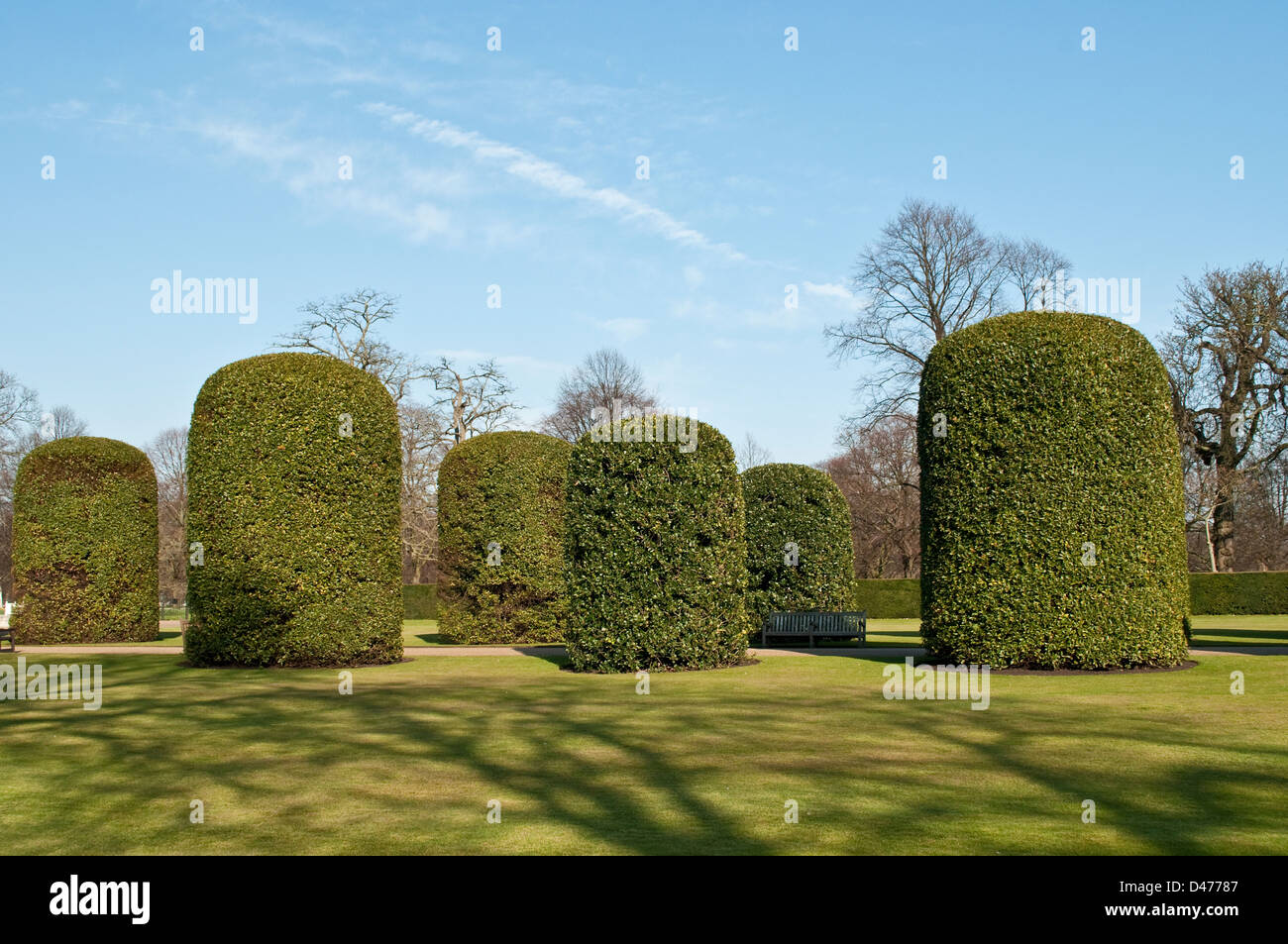 Topiary trees at Orangery, Kensington Gardens, London, UK Stock Photo