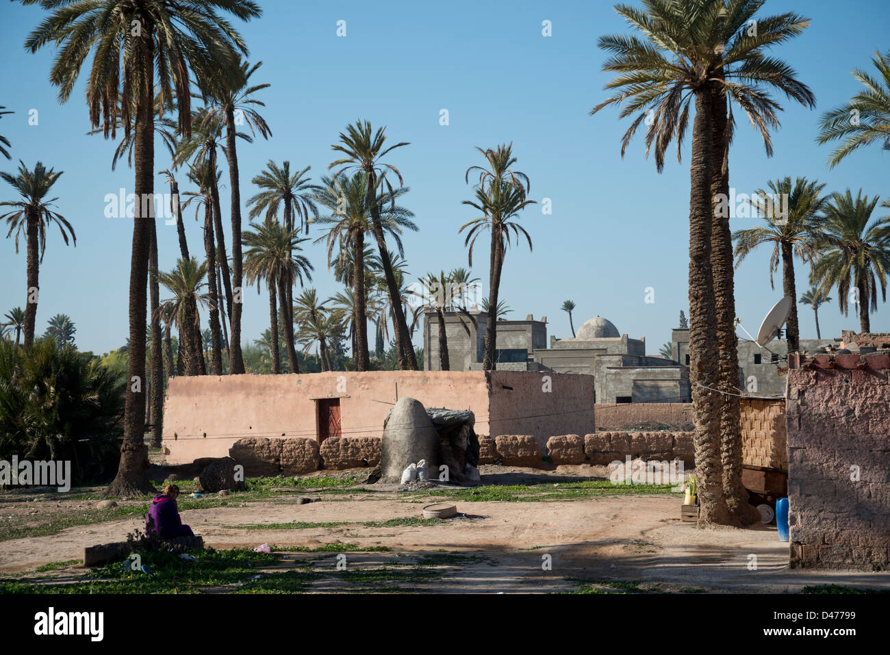 The Palmerie, Marrakesh, Morocco Stock Photo