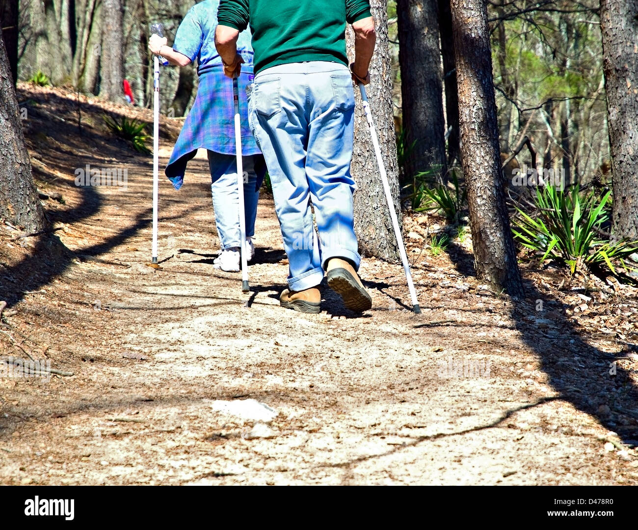 A man and woman walking with poles on a trail. Stock Photo