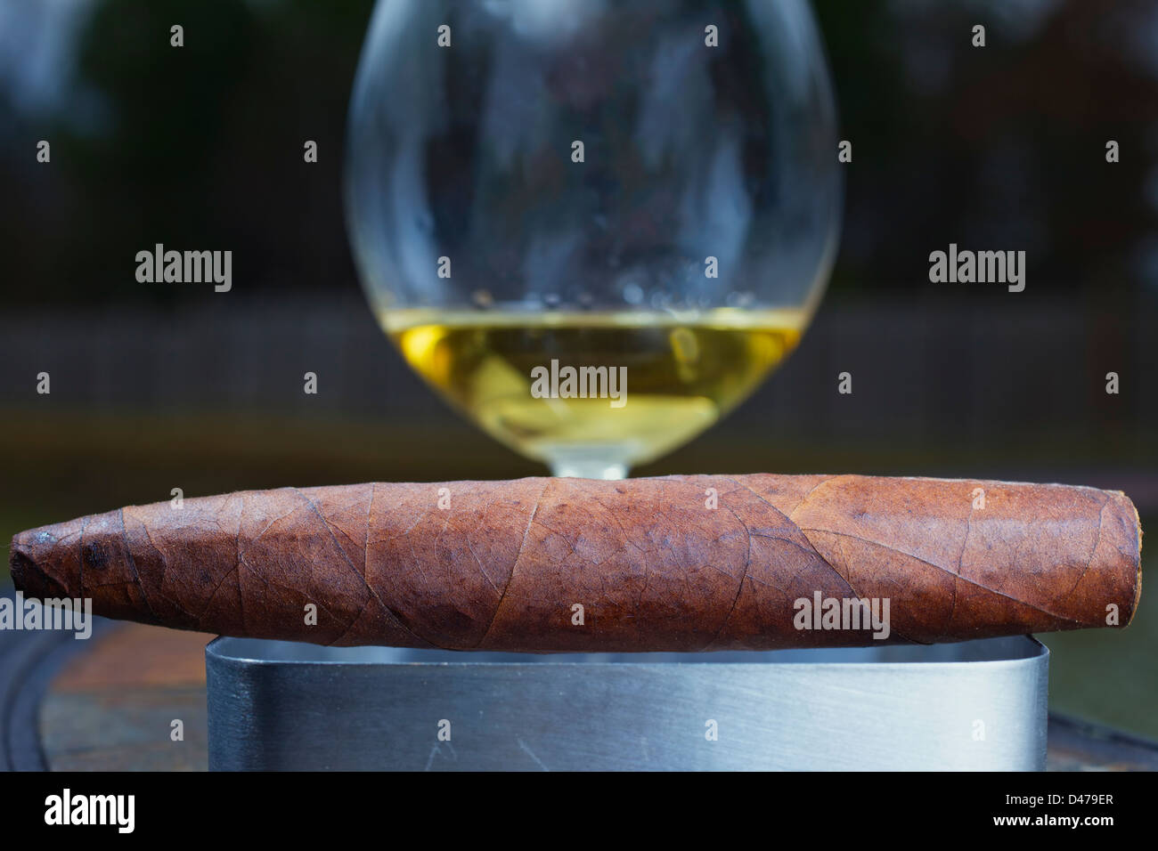 A Perfecto shaped, Hand Rolled Cigar with a glass of tequila Stock