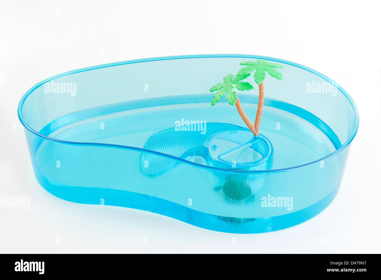 Small tank for turtles Stock Photo Alamy