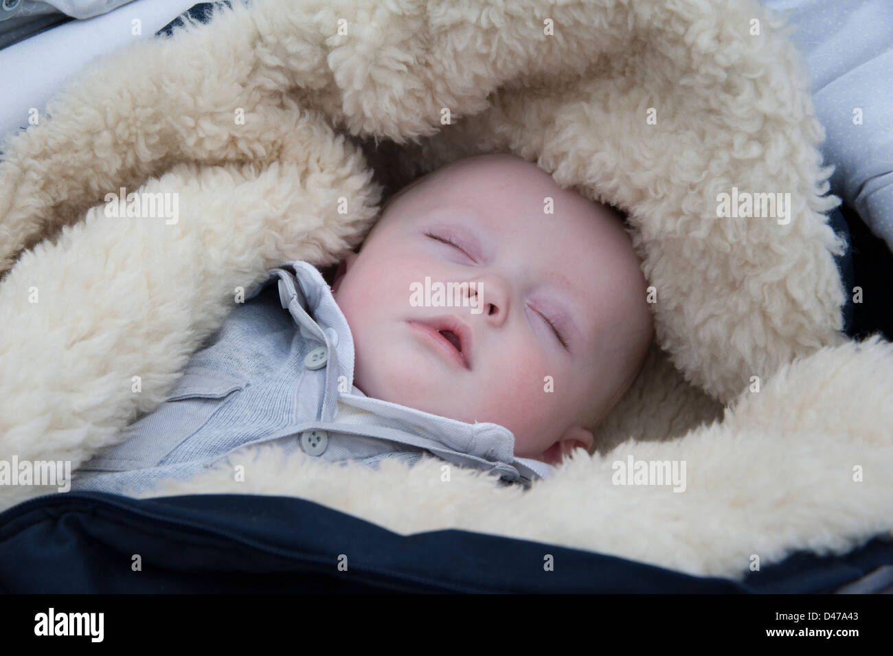 Six month old baby boy sleeping in his pram with a warm lambswool blanket Stock Photo