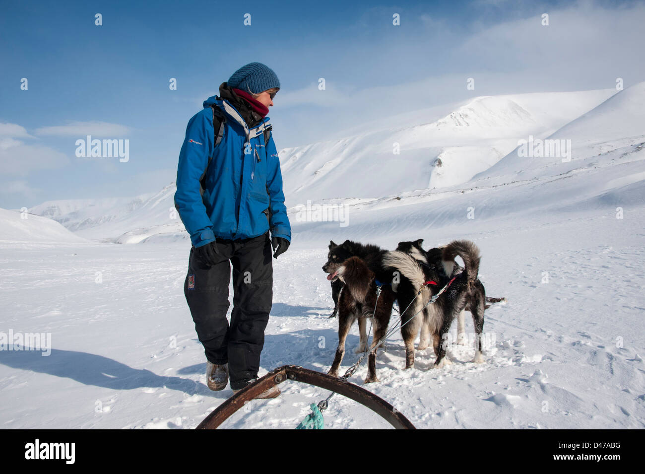 Dogsledding tour guide Reetta Helkala with her team of huskies Stock Photo