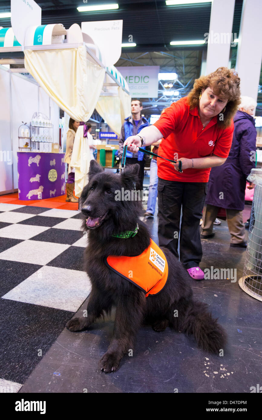 Birmingham, UK. 7th March 2013. Crufts 2013 dog show in NEC national