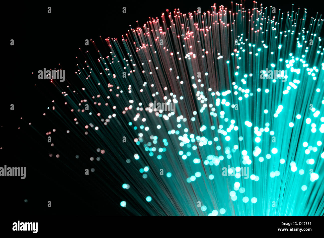 colorful illuminated plastic optical fibers in dark back Stock Photo
