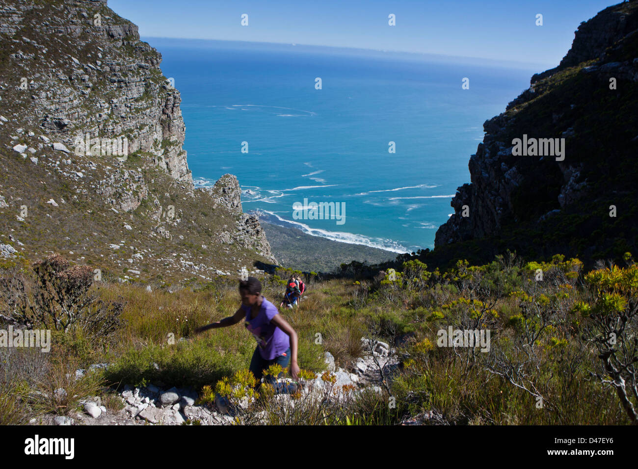 South African high school children hike up Table Mountain, Cape Town, South Africa. Part of environmental education program. Stock Photo