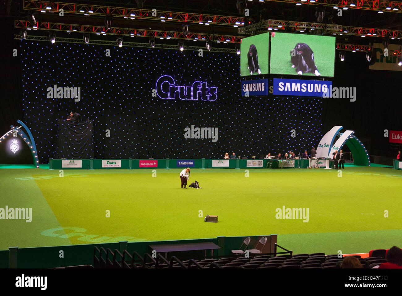 Birmingham, UK. 7th March 2013. Crufts 2013 dog show in NEC national exhibition centre Birmingham UK England day one of the  premier dog show and competition showing in main arena. Credit:  Paul Thompson Live News / Alamy Live News Stock Photo