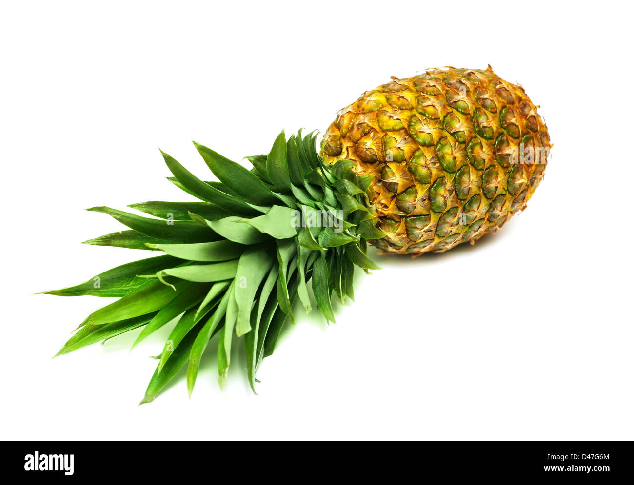 Pineapple isolated on white background Stock Photo - Alamy