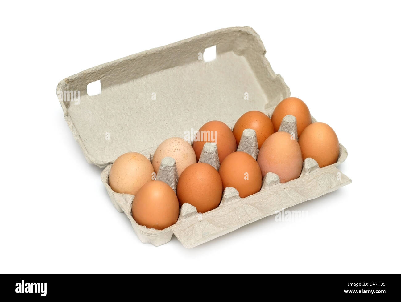 Eggs in the box. Белое яйцо среди коричневых. Eggs are there in the box. Eggs in the box. Яйцо 10 шт вид сверху.