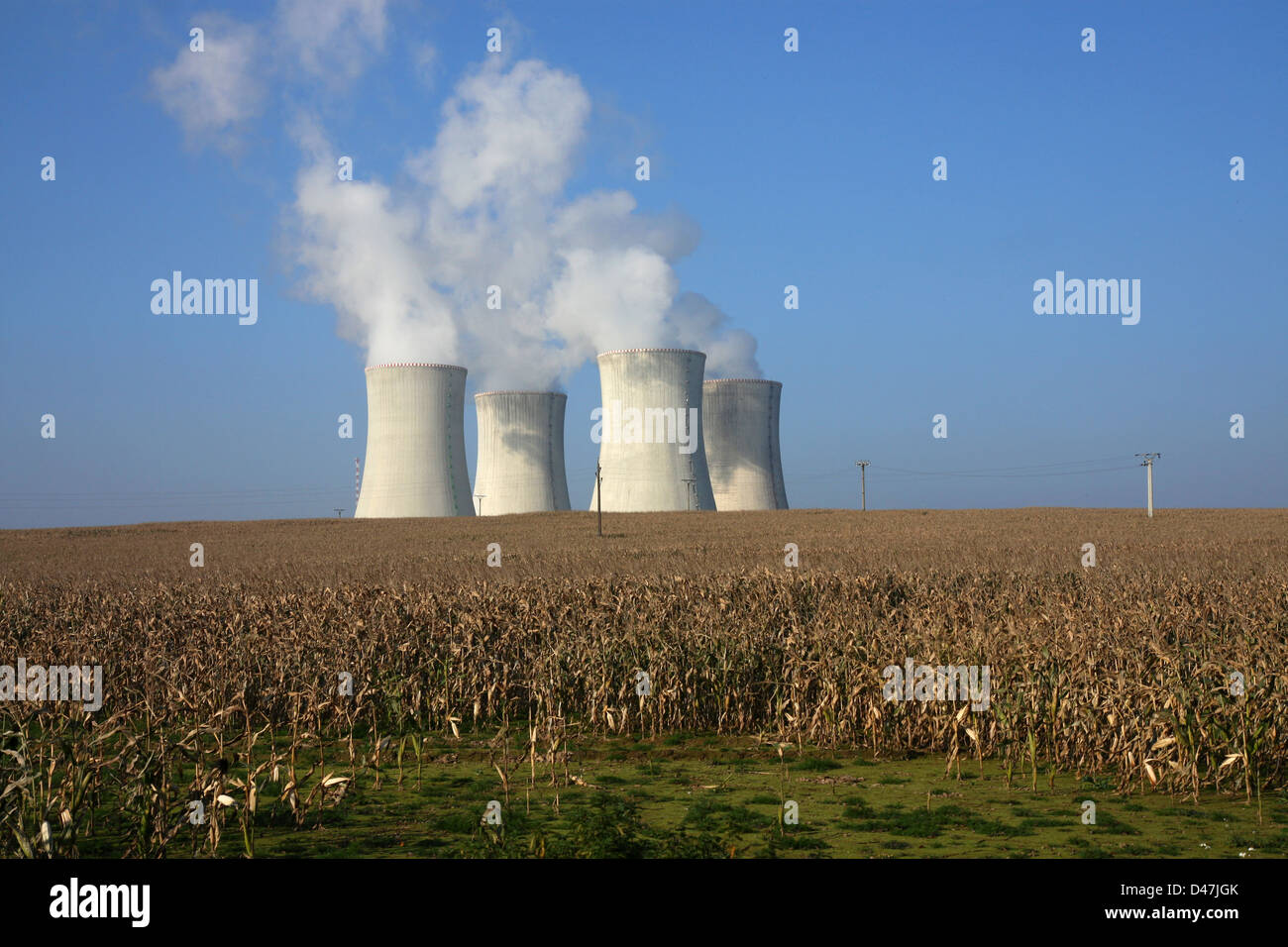 four cooling towers in corn agriculture field Stock Photo Alamy