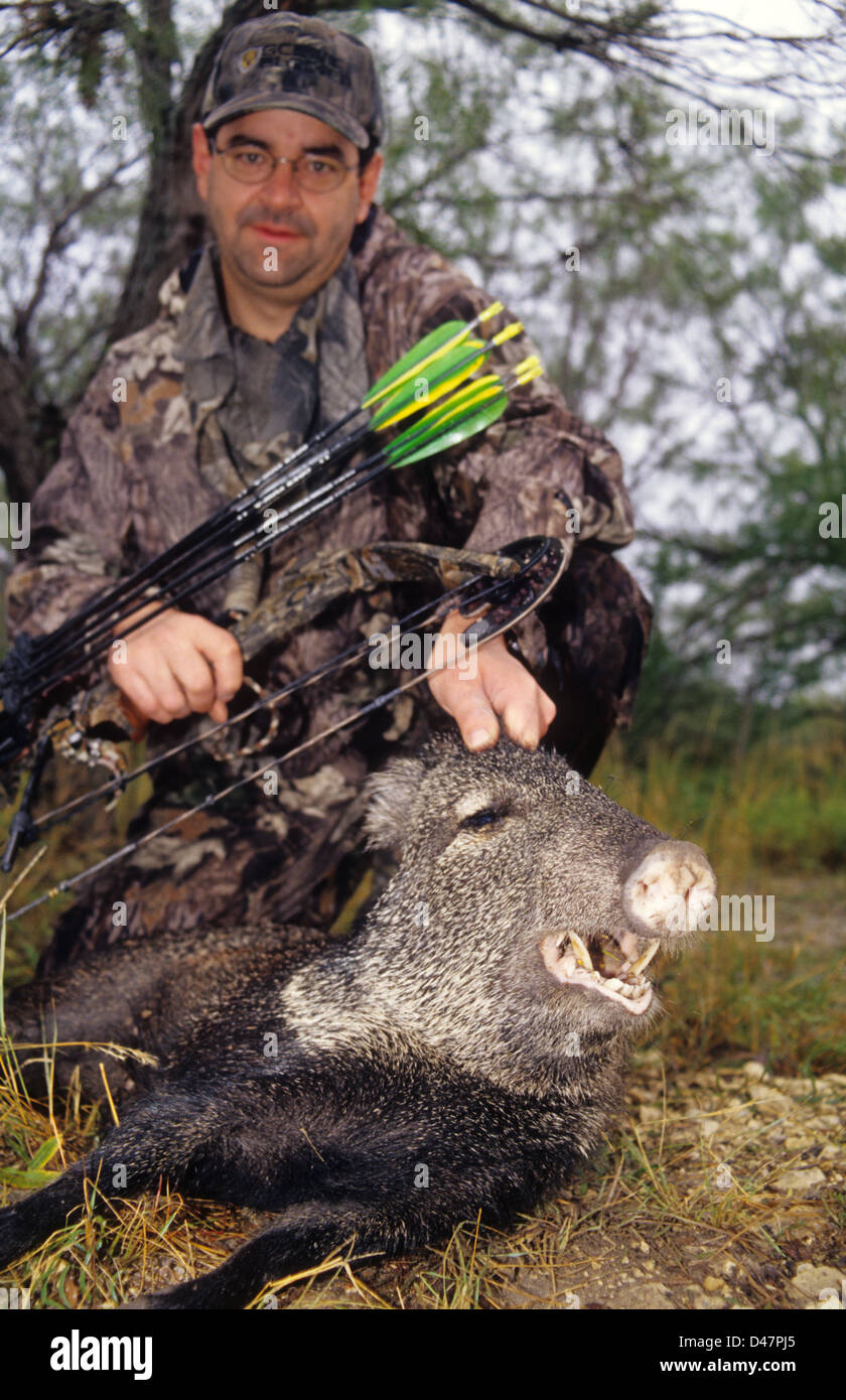 Archery bow hunter with a javelina or collared peccary (Pecari tajacu
