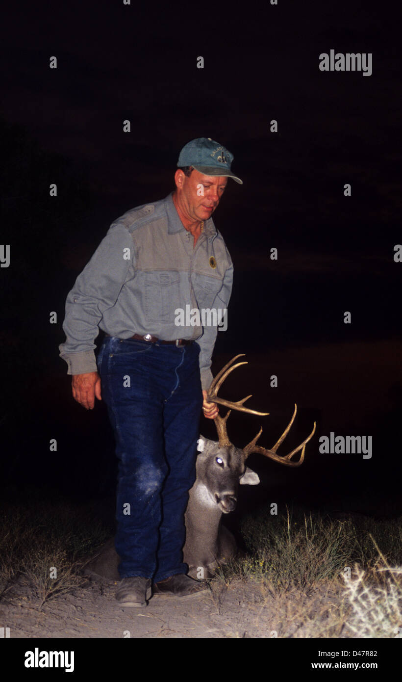 Hunter dragging a whitetail buck deer (Odocoileus virginianus) at night
