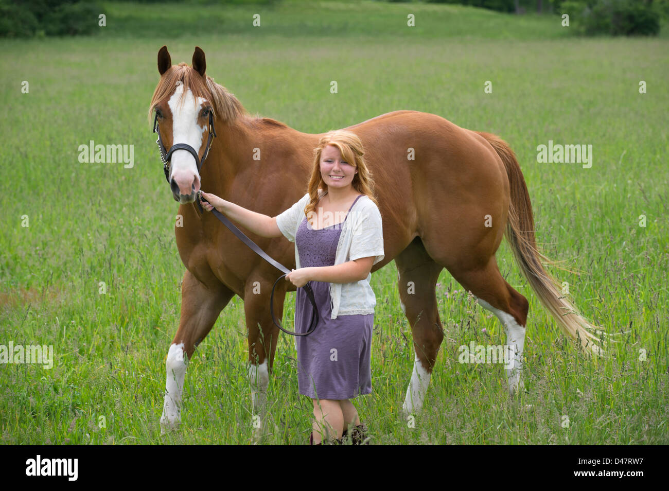 Young woman leading horse through grassy field, an eighteen year old red haired horsewoman. Stock Photo