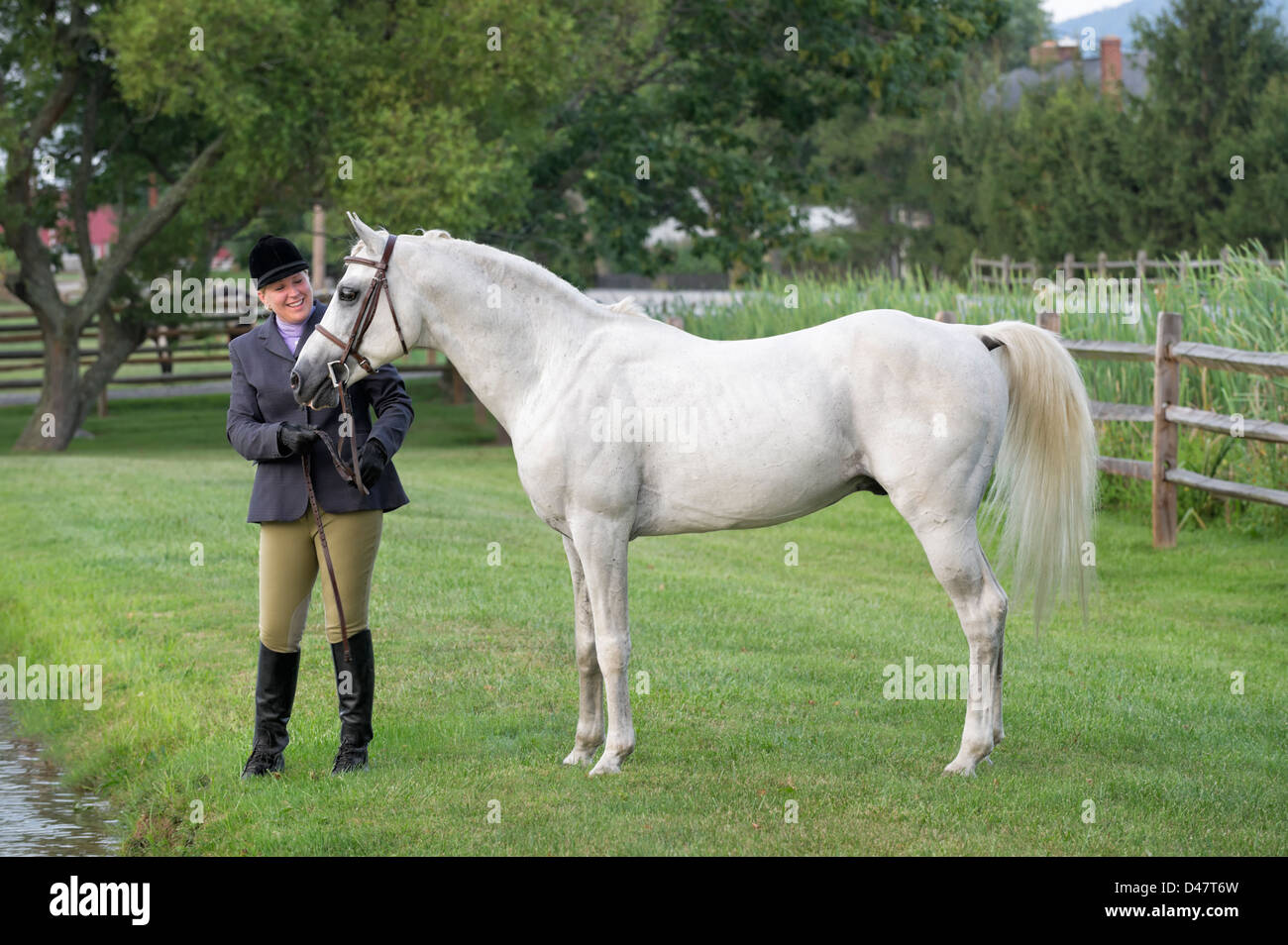 Horse and woman dressed in English riding attire outdoors in grass. Stock Photo