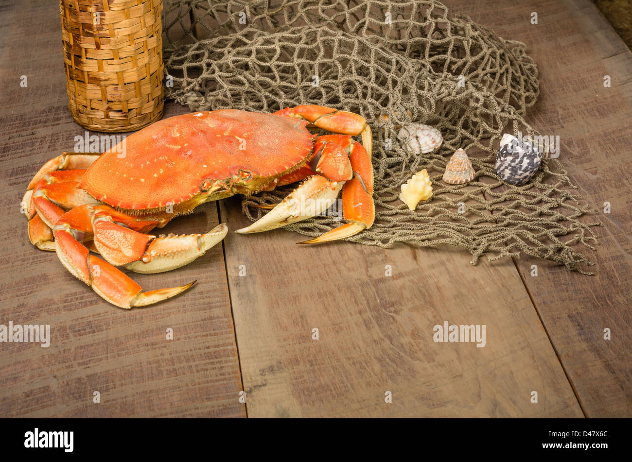 A Dungeness crab ready to be cooked with wine bottle and net Stock Photo