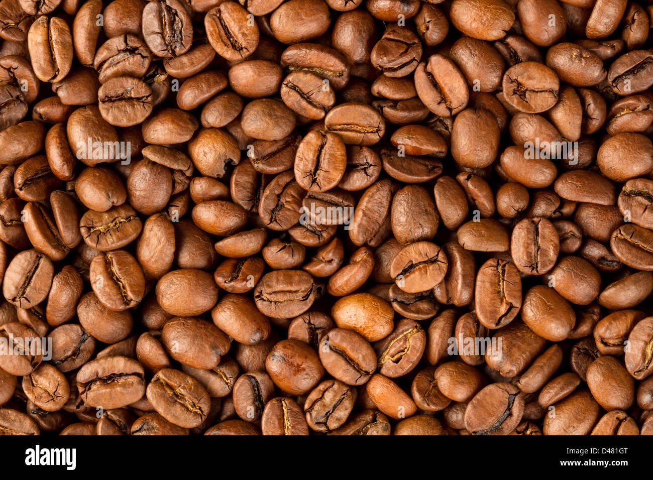 close-up shot of coffee beans Stock Photo
