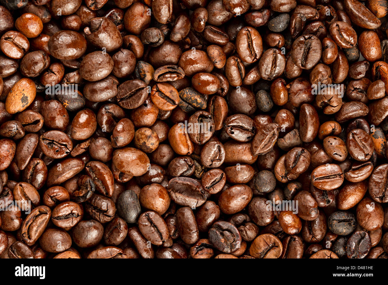 close-up shot of espresso beans Stock Photo