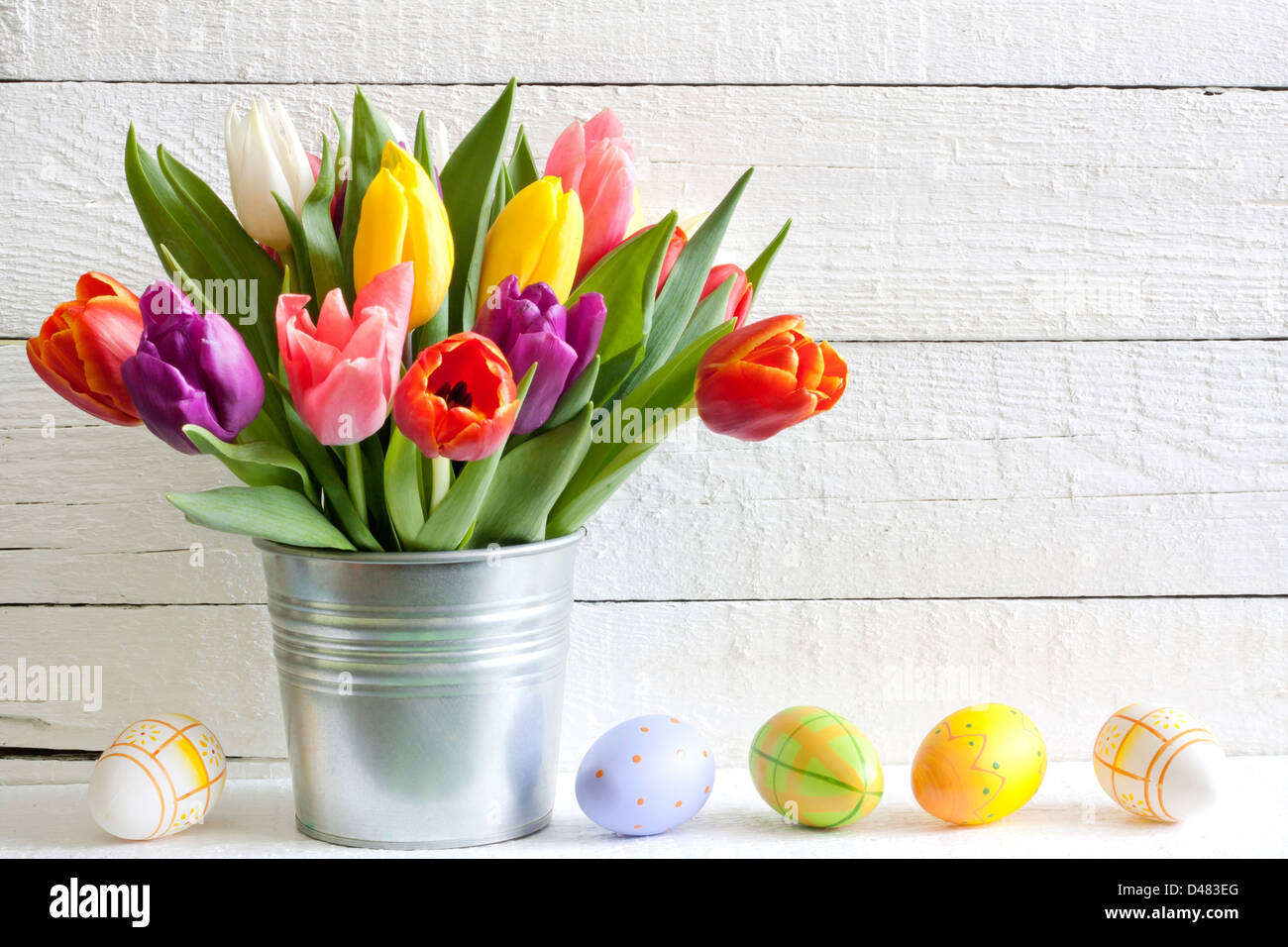 Spring easter tulips in bucket on white vintage planks Stock Photo - Alamy