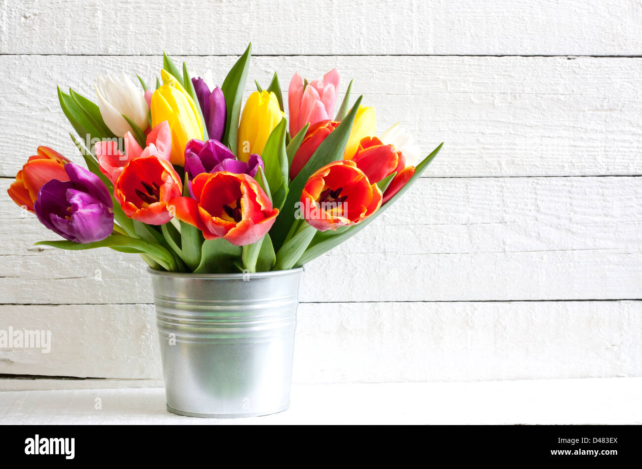 Tulips in bucket hi-res stock photography and images - Alamy