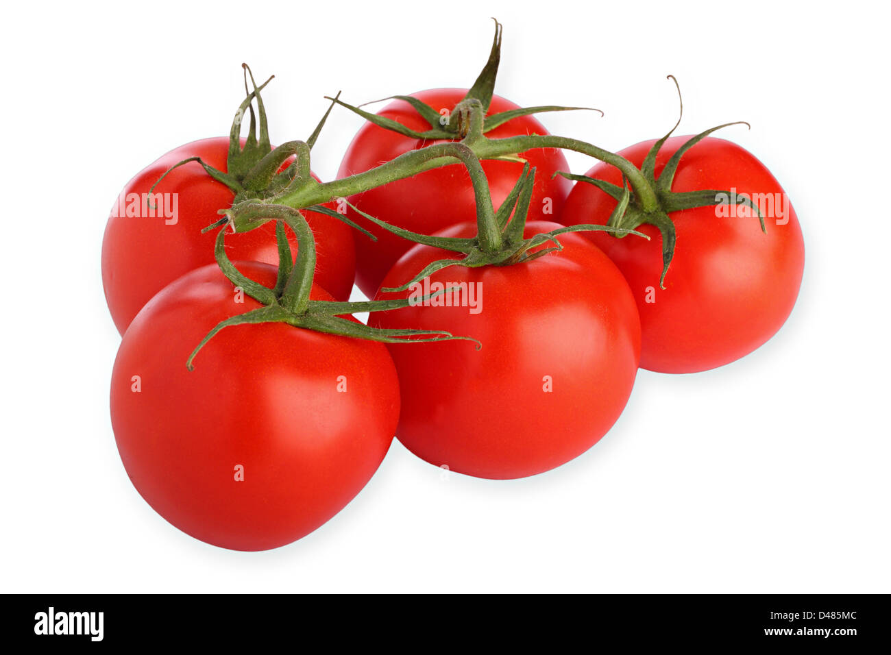 tomatoes Stock Photo