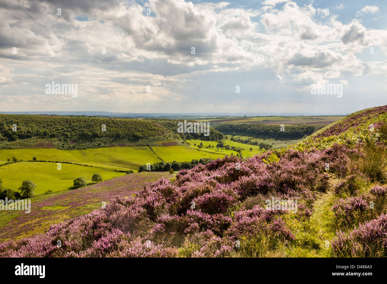 The Hole of Horcum, North Yorkshire in summer colours Stock Photo