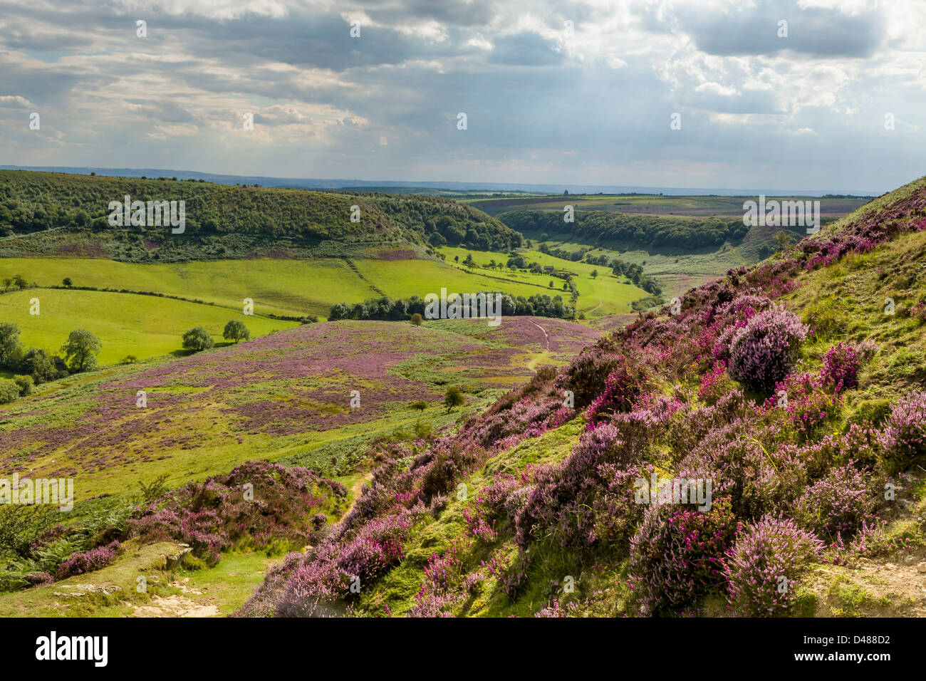 The Hole of Horcum, North Yorkshire in summer colours Stock Photo