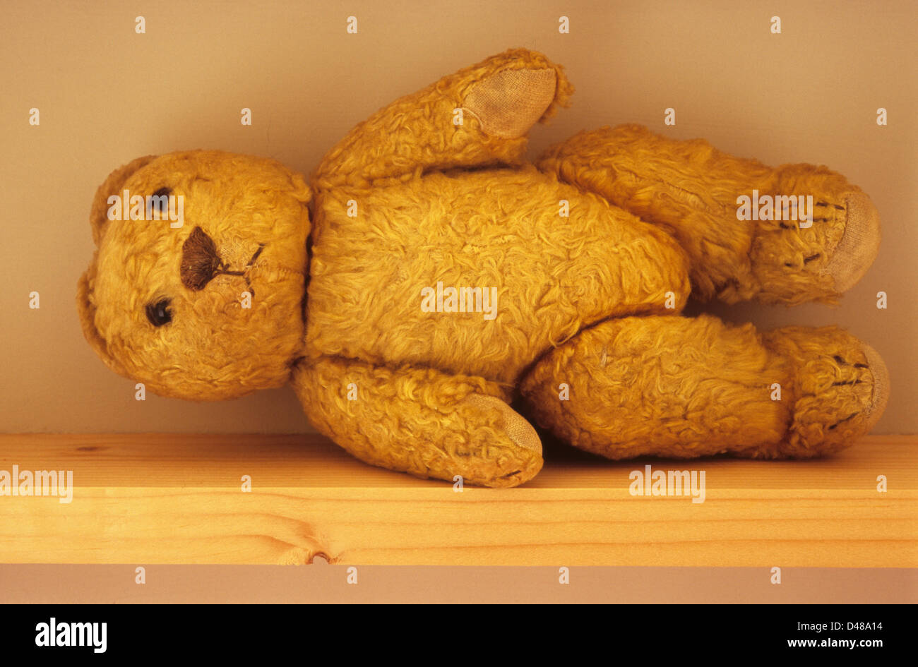 Eye-level view of vintage and well-worn golden teddy bear lying on its side on narrow wooden shelf Stock Photo
