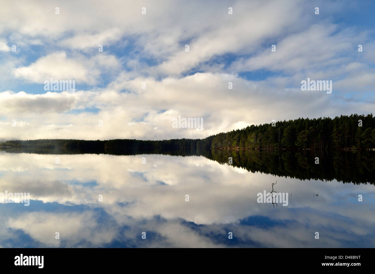 Osprey boat of garten hires stock photography and images Alamy