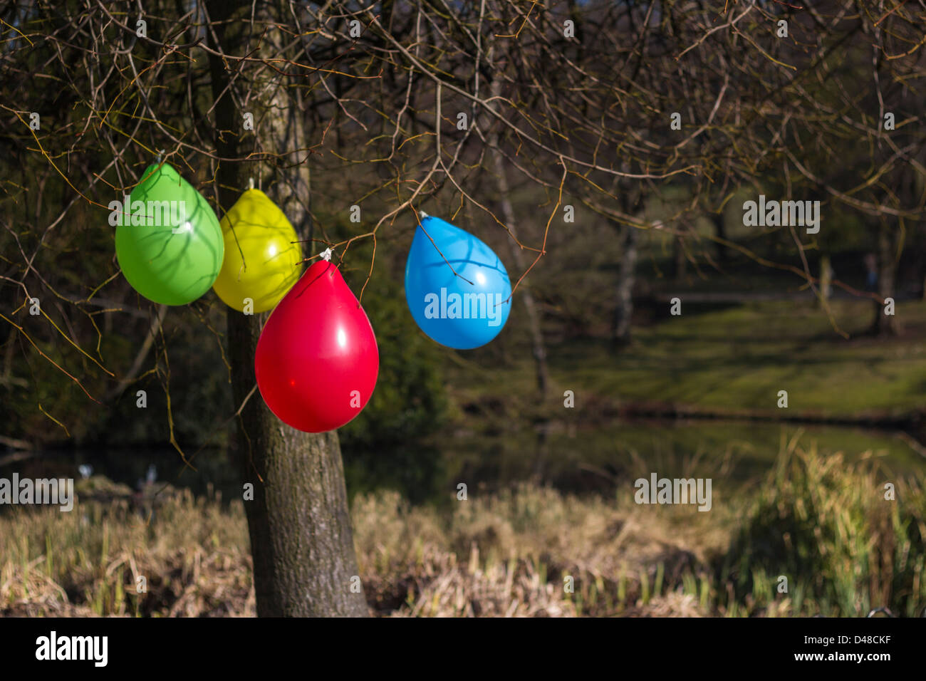 Ballons hanging from a tree, Glasgow park Stock Photo Alamy