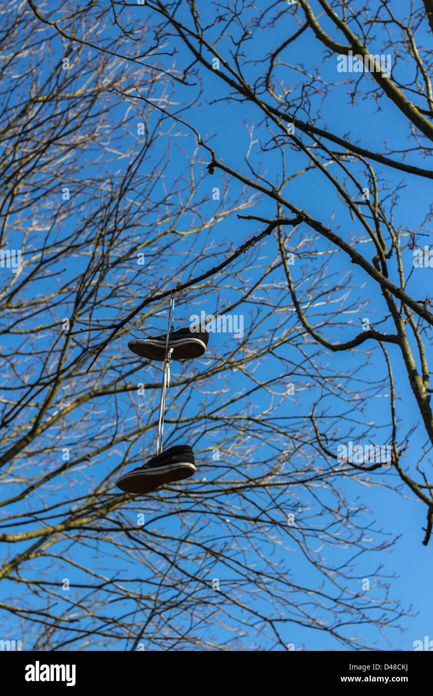 Shoes hanging from a tree, Glasgow. Stock Photo