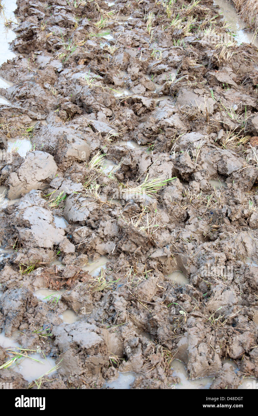 Sustainable agriculture texture hi-res stock photography and images - Alamy