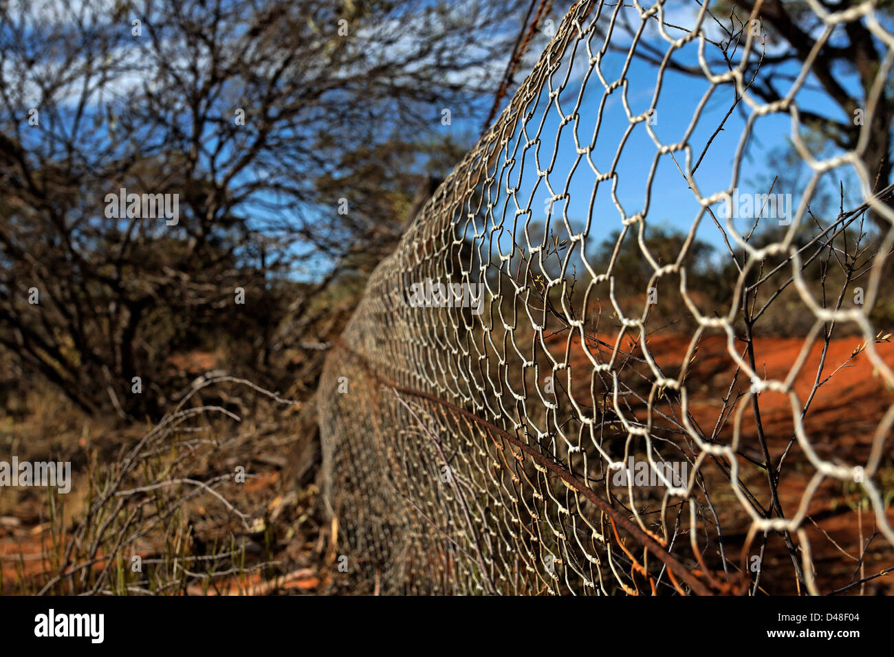 Rabbit Proof Fence, North East Western Australia Stock Photo Alamy