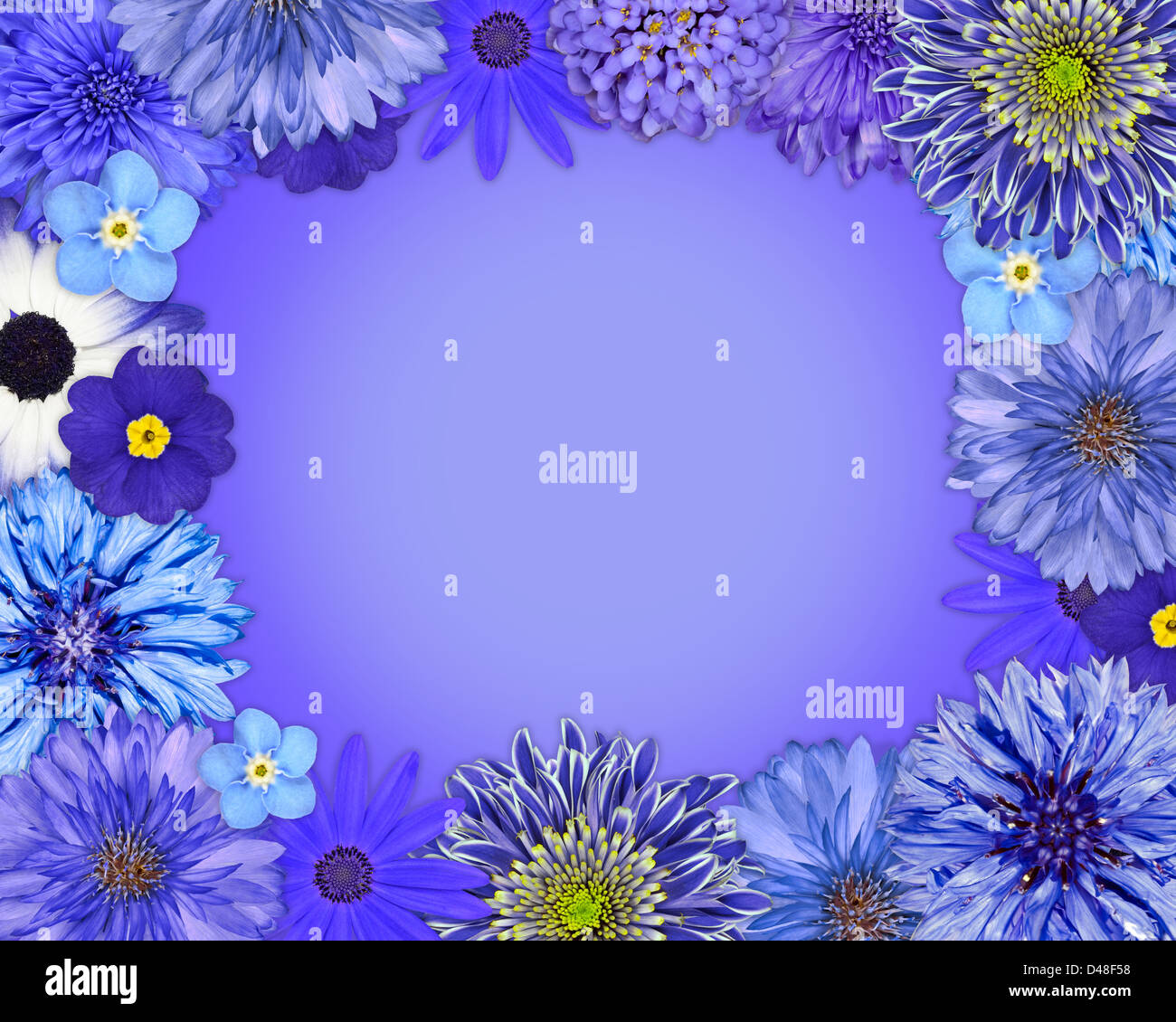 Flower Frame with Blue, Purple Flowers Isolated on Blue Background ...