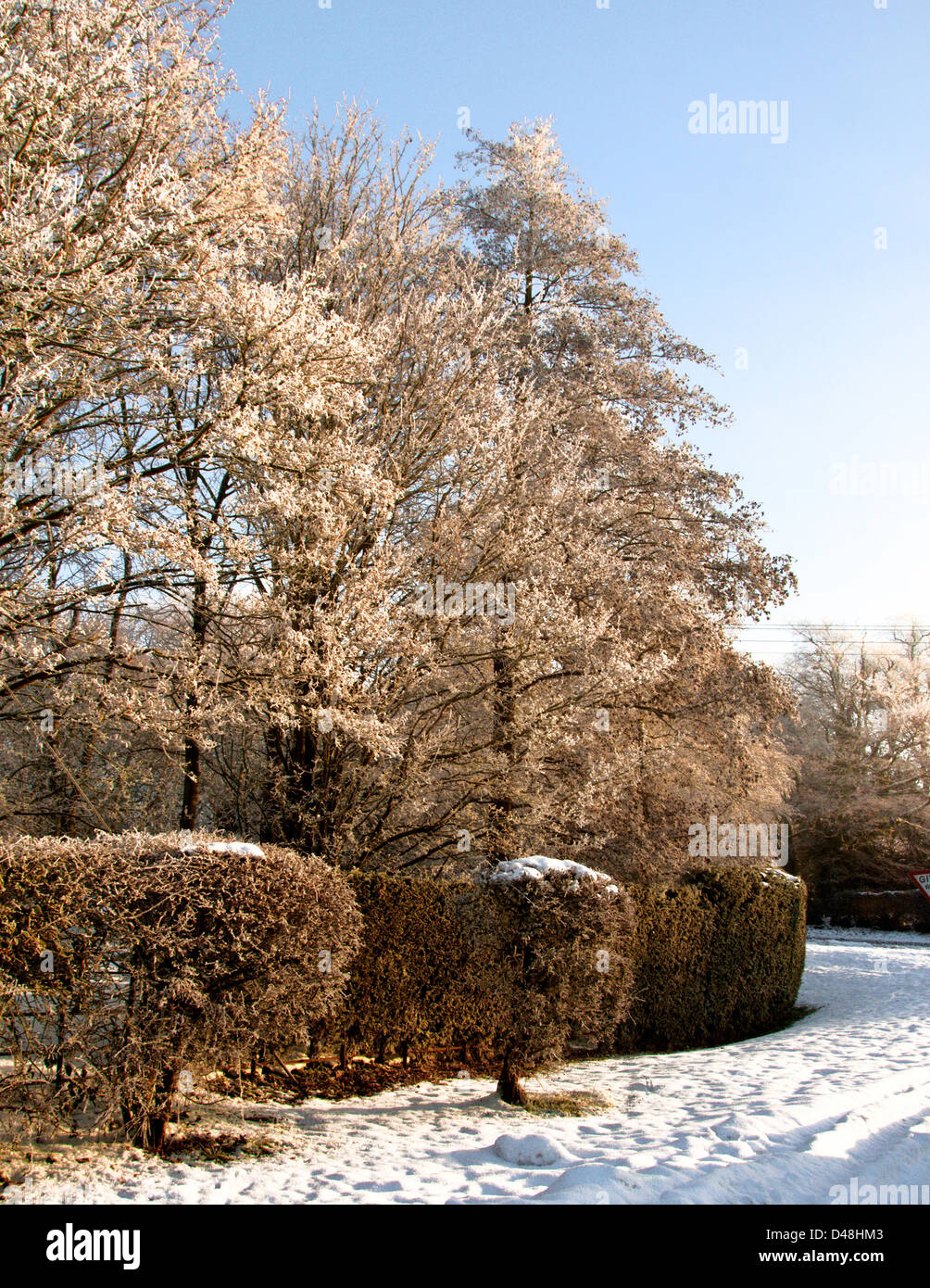 Hoar frost on trees and hedges Stock Photo