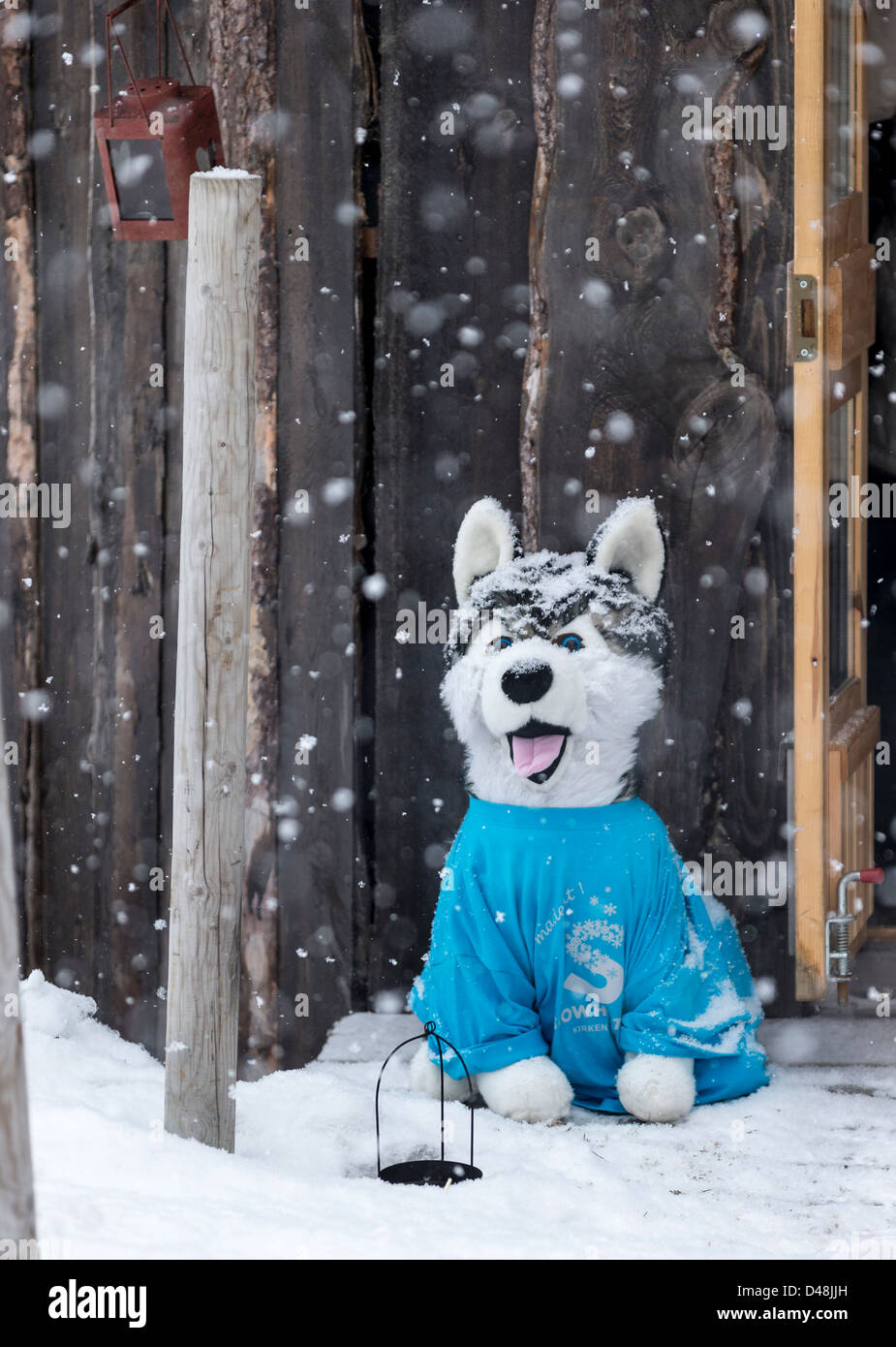 snow dog cuddly toy