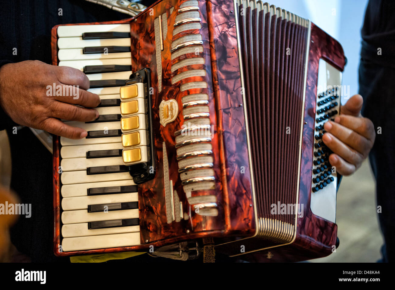 Close up of person playing the accordion Stock Photo