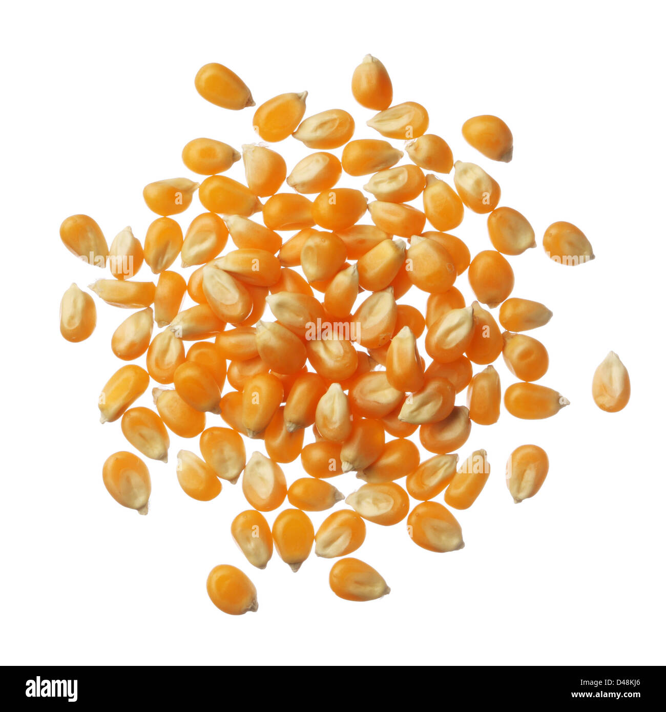 Pile of Popcorn kernels isolated on white background Stock Photo Alamy