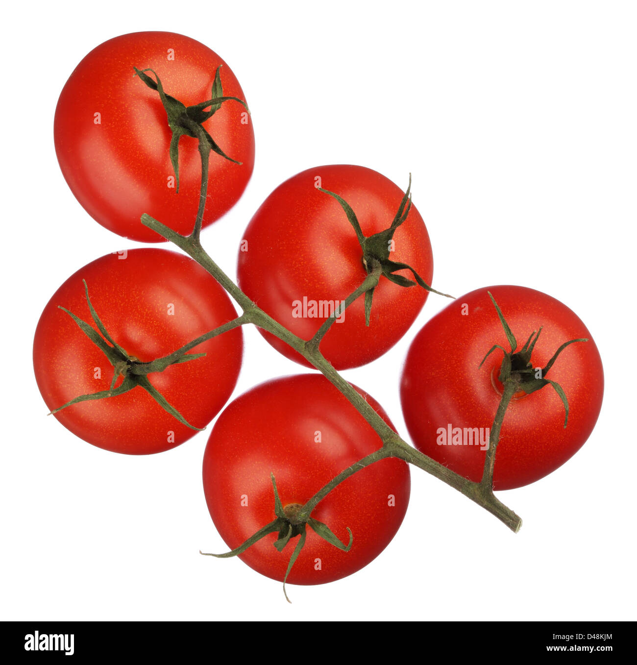 Tomatoes on a branch isolated on white background Stock Photo