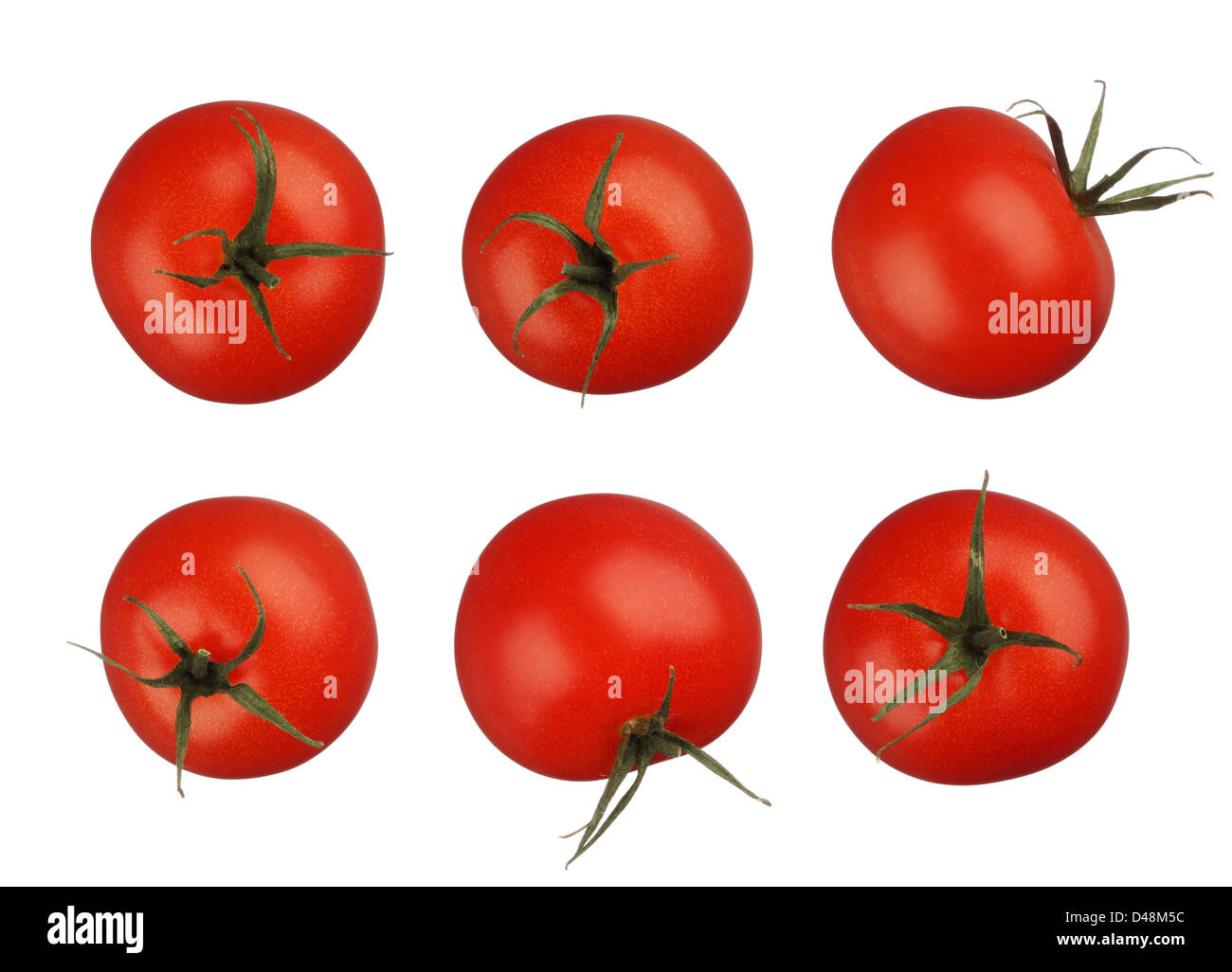 Tomatoes isolated on white background Stock Photo - Alamy