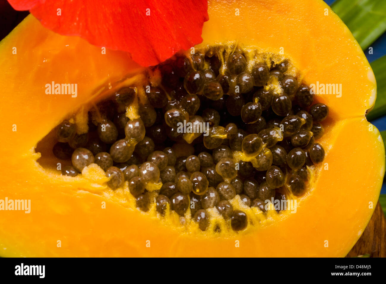 Семена Папайи Купить В Аптеке