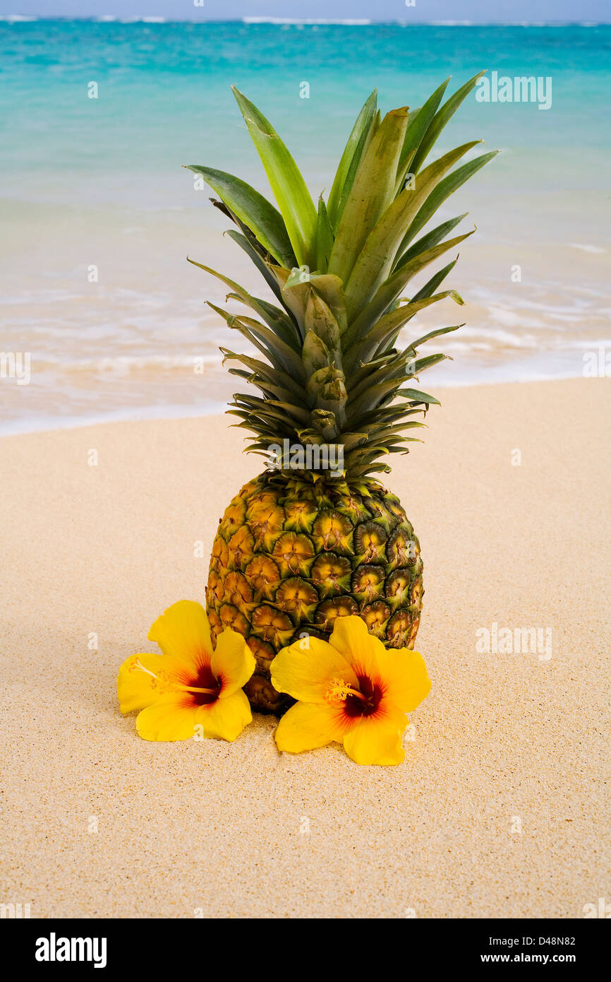 A Pineapple With Flowers On A Tropical Beach Stock Photo Alamy
