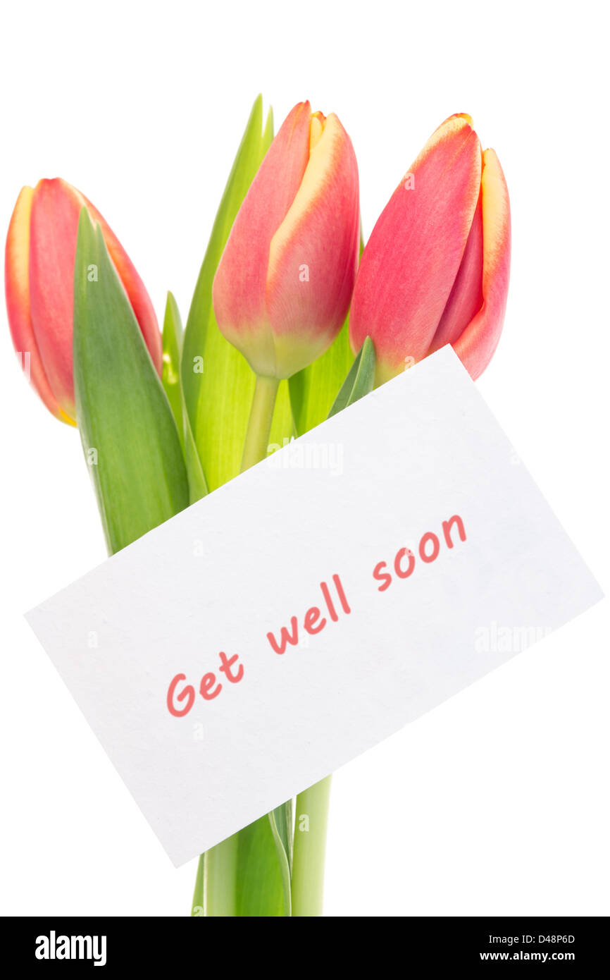 Pink and yellow tulips with get well soon greeting Stock Photo