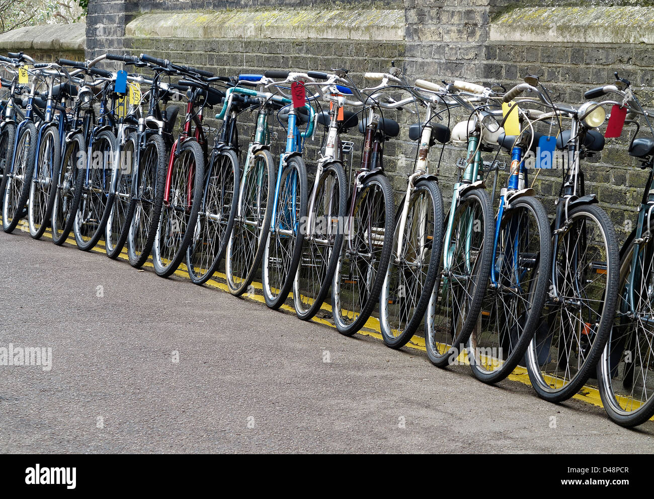 Bicycles lined up for sale Cambridge England Stock Photo