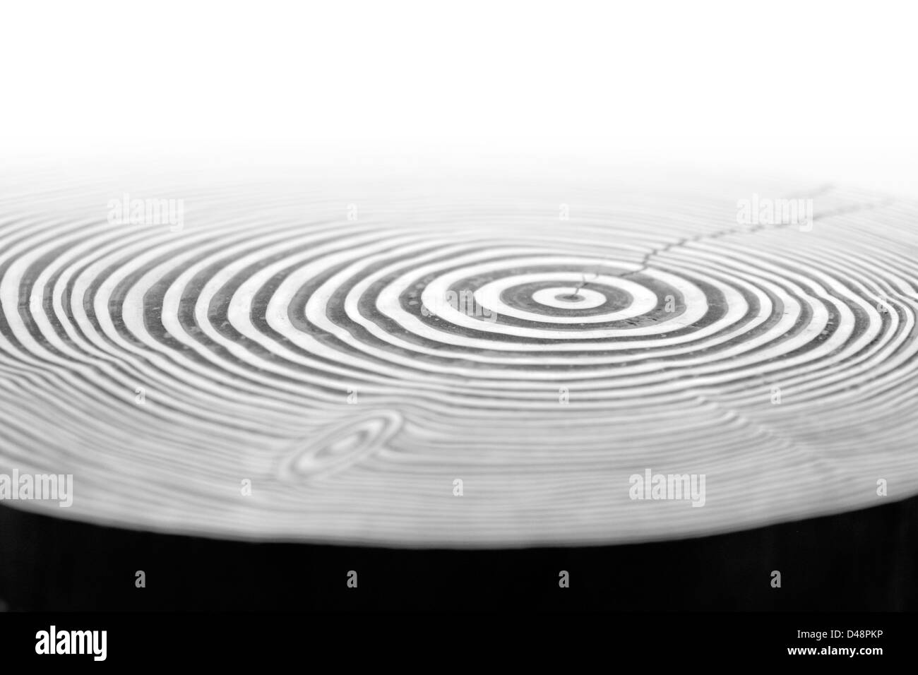 abstract detail of painted wooden annual rings Stock Photo Alamy