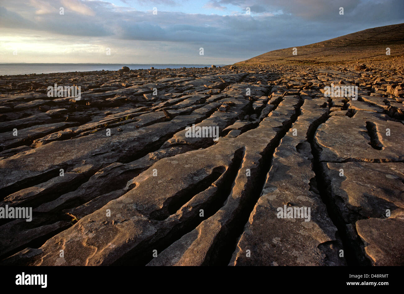 Limestone Pavements, The Burren, Co Clare, Ireland Stock Photo Alamy
