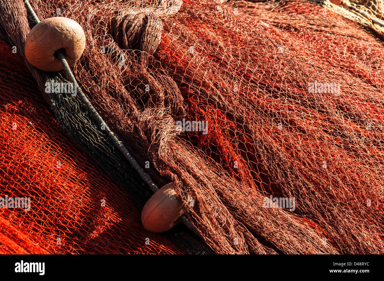 Small Fish Fishing Net Stock Photo 524784346